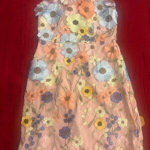 NWT Strut & Bolt Multi-Color 3D Floral Sleeveless Mini Dress-Small
